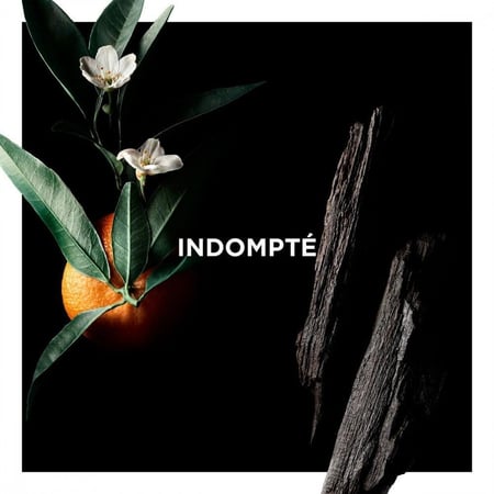 عطر جيفنشي اندومبتي او دو بارفيوم 100مل-عالم نعومي للعطور والتجميل