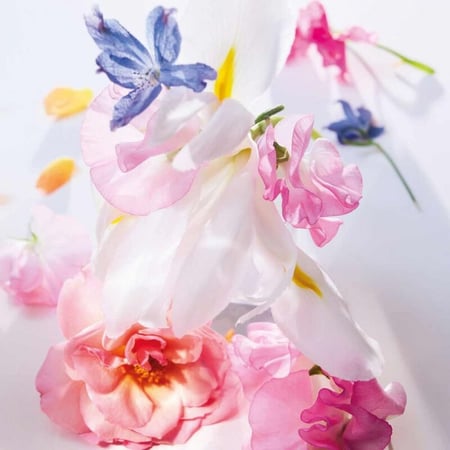 عطر مس ديور بارفيوم 100مل