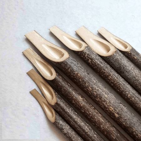 قصب بامبو النمر