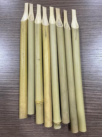 قصب بامبو شرقي مقطوط بمقاسات كبيرة غير محددة تتراوح بين 9 و 10