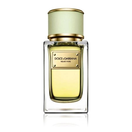 عطر دولتشي أند غابانا فيلفت بيور 150 مل