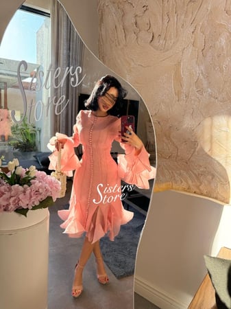 ديلينا ميدي