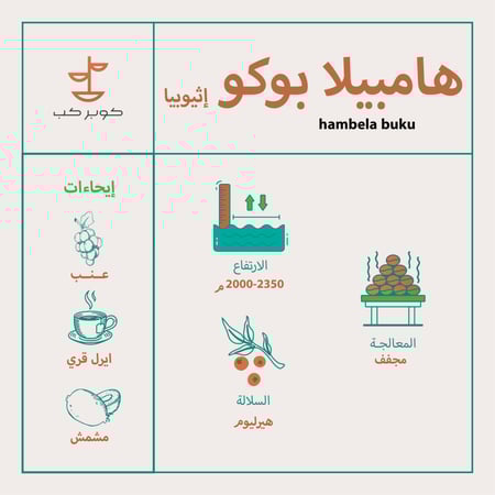 محصول قهوة إثيوبيا هامبيلا بوكو من كوبر كب فاكهية نقية