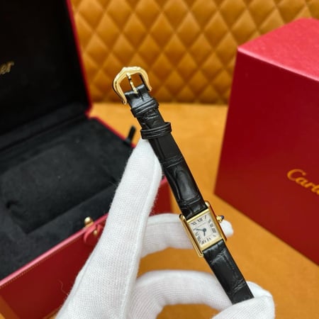 WGTA0352 كارتير