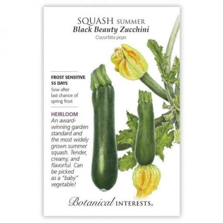 بذور كوسا السوداء الجميلة - Black Beauty Summer Squash Seeds