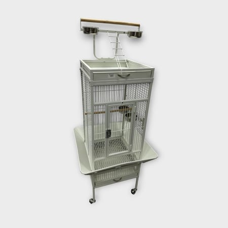 CAGE BIRD #A10 قفص طيور زينة