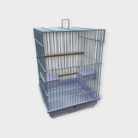 CAGE BIRD #4A01 قفص طيور زينة