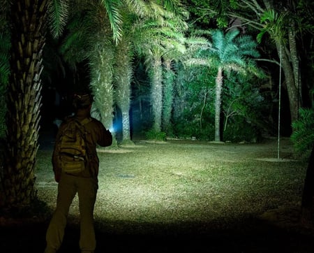 كشاف (A28) بودي بولي كاربونت