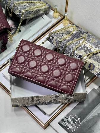 Dior 22cm