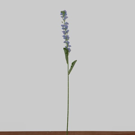 غصن لاركسبور ازرق