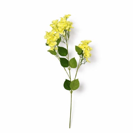 غصن زهور اصفر