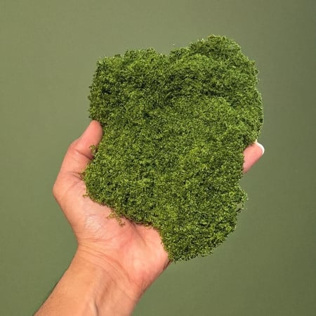 عشب اخضر صافي 100g