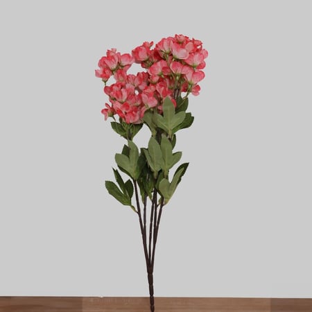 زهور الكرز وردي غامق