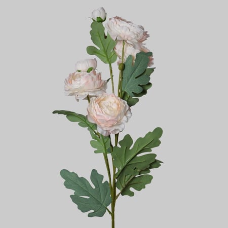 غصن بيوني وردي فاتح