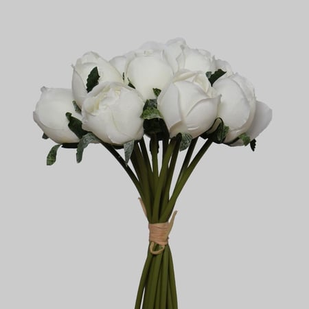 ورد روز ابيض