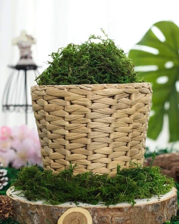 عشب مجفف كيس كبير 600g