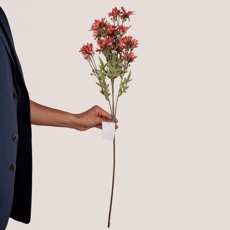 غصن ديزي اصفر