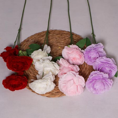 غصن روز موف