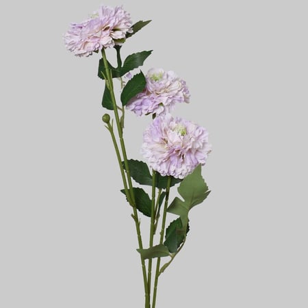 غصن البومبون موف فاتح