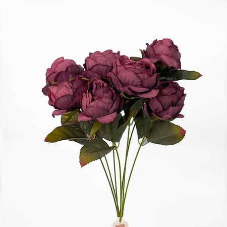 ورد بيوني موف