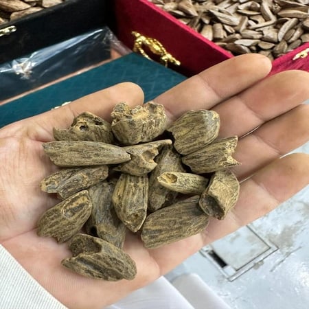 عود مروكي ترات فاخر