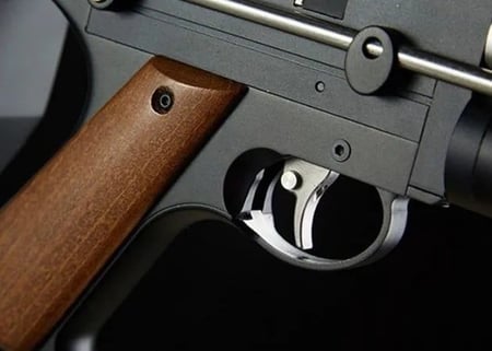 بندقية اسنوبك