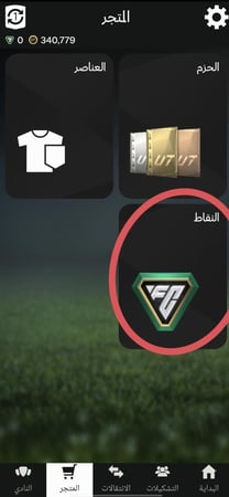 فيفا كوينز - FC26