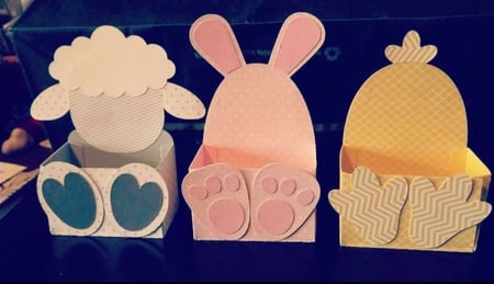 بوكسات توزيعات