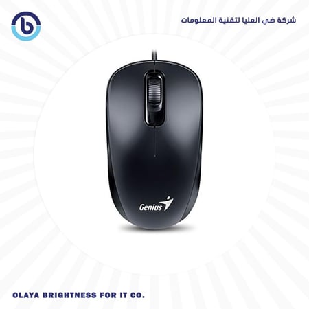 MOUSE GENIUS DX-110 CLASSIC 3 BUTTON G5 BK