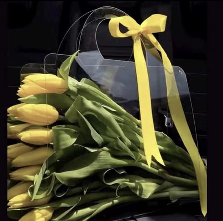 اكياس شفافه