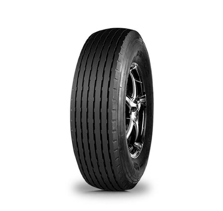 900/17 ماكسس ابو جمل