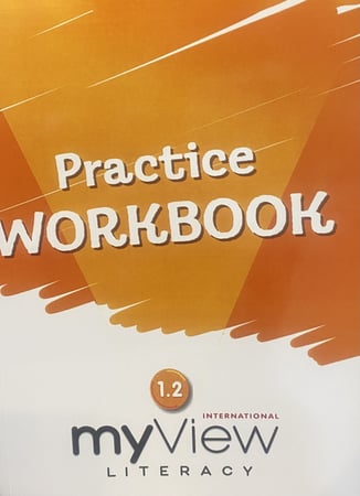 MY VIEW LITERACY VOLUME 2 PRACTICE WORKBOOK GRADE 1