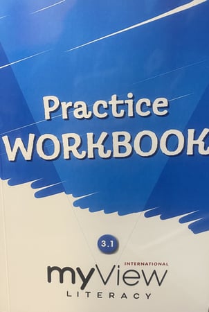 MY VIEW LITERACY VOLUME 1 PRACTICE WORKBOOK GRADE 3