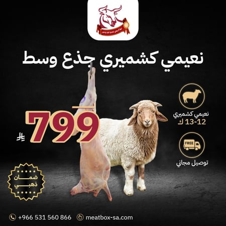 نعيمي كشميري جذع وسط