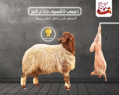 نعيمي جذع كبير