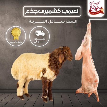 احصل على نعيمي كشميري جذع الان