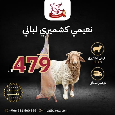 نعيمي كشميري لباني