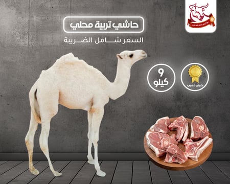 حاشي