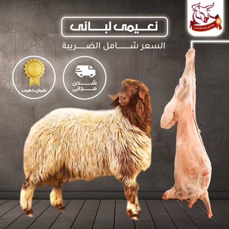 نعيمي كشميري لباني