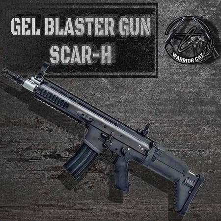 عرض المحارب الفردي SCAR-H