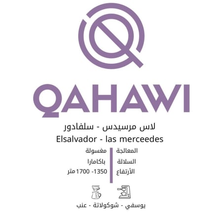 لاس مرسيدس -سلفادور 10kg