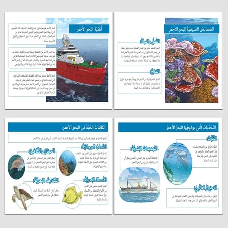 مشروع لغتي ثالث البحار والمحيطات مجموعة البحر الاحمر