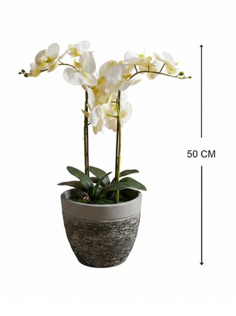أوركيد صناعية فاخرة وحوض فايبر مودرن - ارتفاع 50 سم