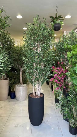 شجرة الزيتون - حوض فايبر