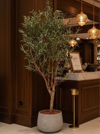 شجرة زيتون صناعية بجذع طبيعي - حوض فايبر