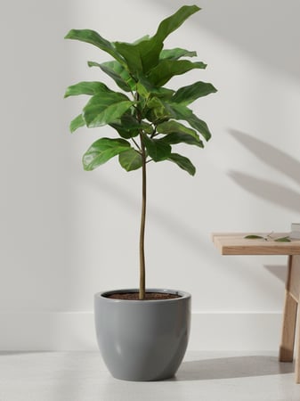 مراكن نباتات سيراميك عصرية لونا – تشطيب رمادي لامع، حجم كبير 30 سم