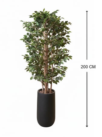 شجرة فايكوس صناعية بجذع طبيعي وحوض فايبر – ارتفاع 2 م
