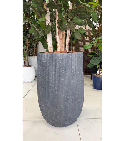 شجرة فايكوس صناعية بجذع طبيعي ( ارتفاع 2متر ) بحوض فايبر رمادي فاخر