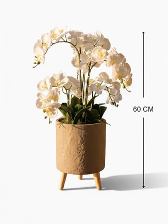 نبتة أوركيد بيضاء بمركن رمادي متموج وأرجل خشبية