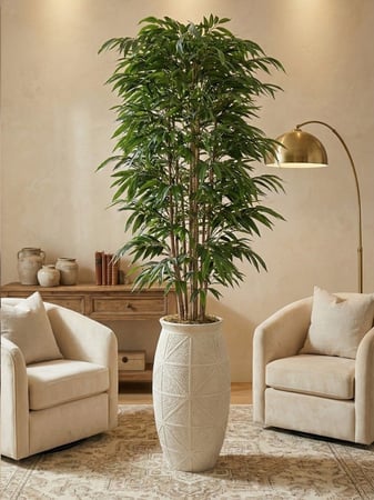 نخيل البامبو الملكي - حوض فايبر